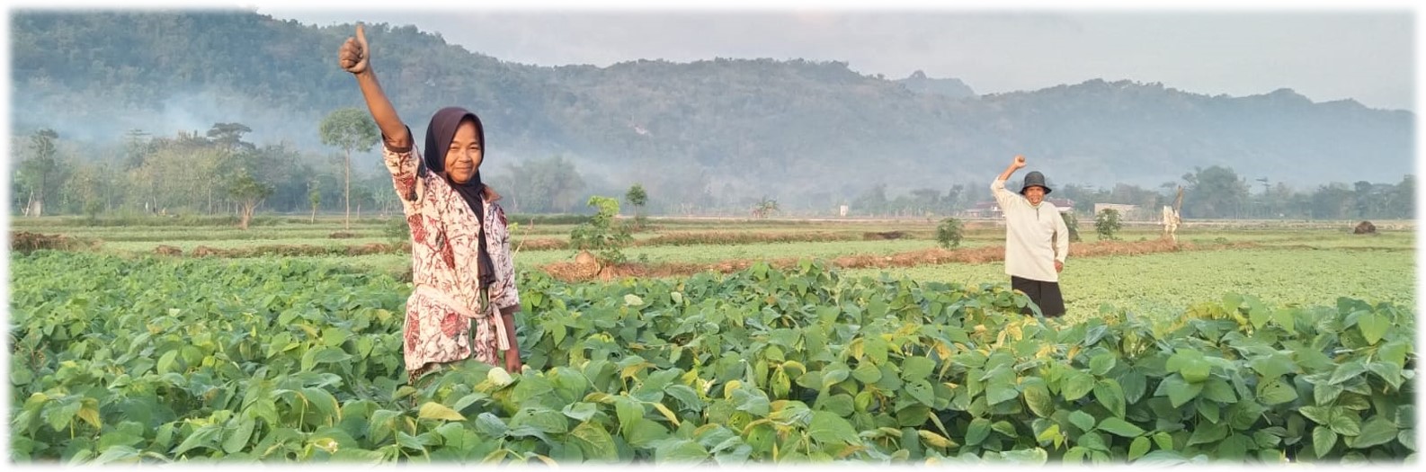 Ketersediaan Kedelai Nasional dan Industri Pengolahan Kedelai 