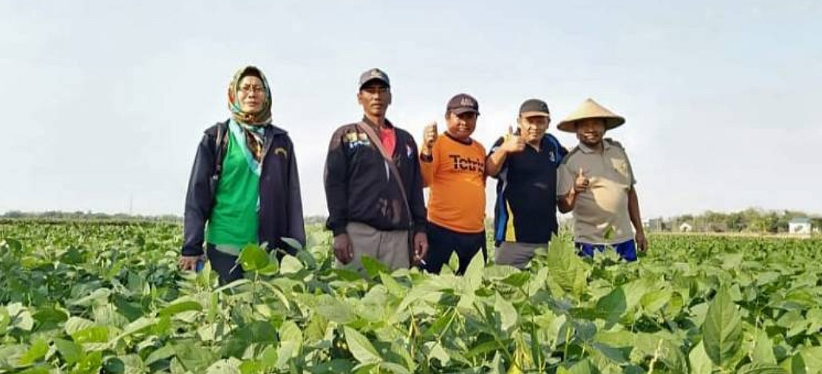 Di lahan pertanian kedelai bersama kelompok tani binaan